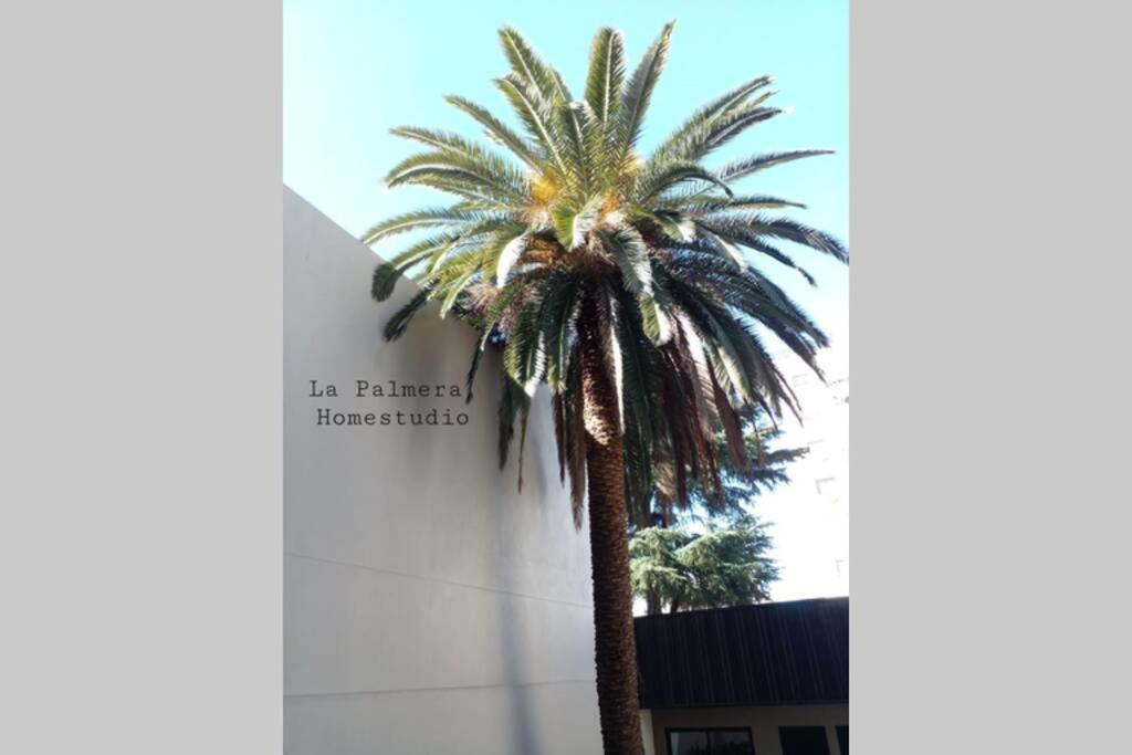 La Palmera Homestudio. Hermoso apartamento en el corazón de Palermo Hollywood Buenos Aires Exterior foto